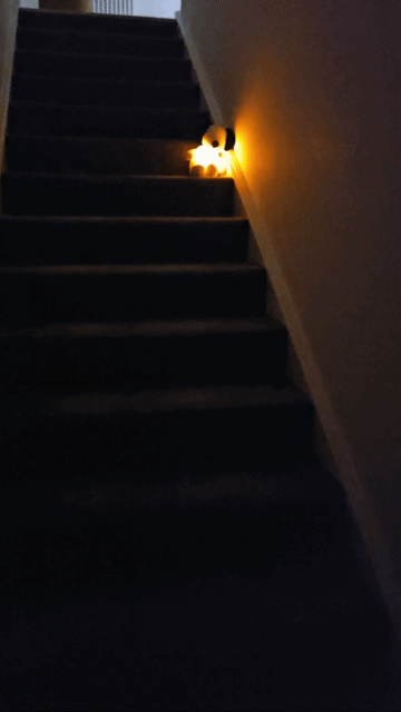 CalmHug® Breathing Plush – Buy 2 for £29.90 | Free UK Delivery